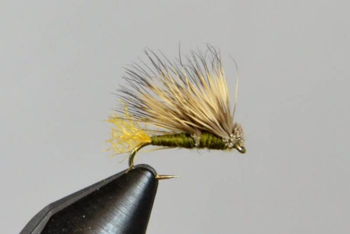 Galloup's Double Winged Caddis