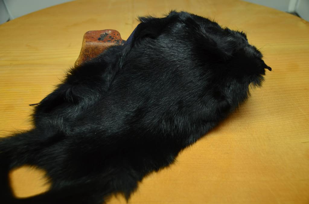 tanned QUALITY PINE SQUIRREL SKINS 