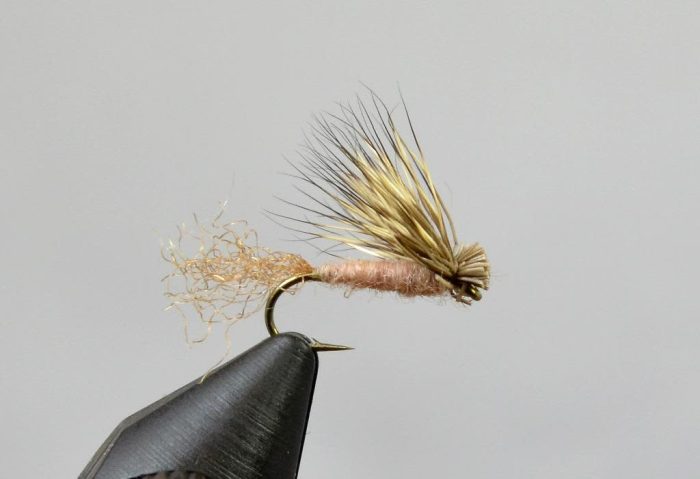 X-Caddis - Image 3