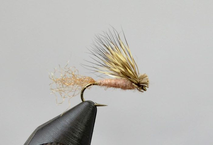 X-Caddis