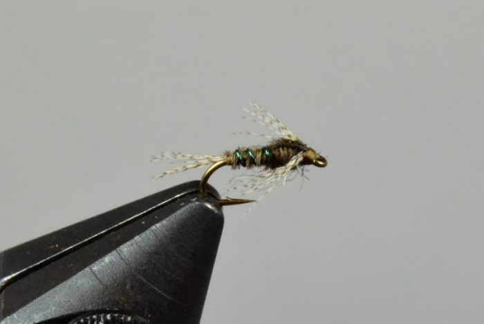 Umpqua Baetis Nymph