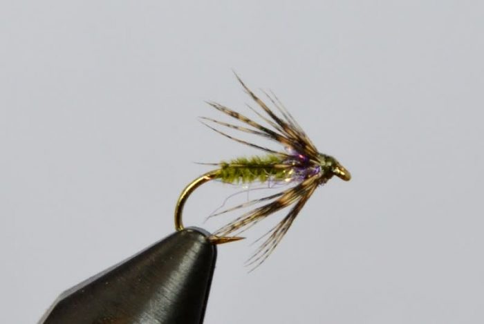 Sparkle Soft Hackle