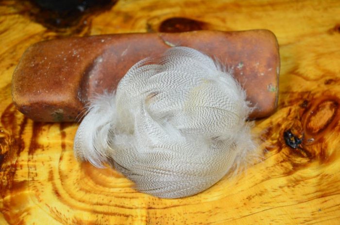 Mallard Flank Feathers