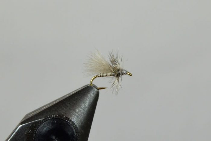 Harrop's CDC Midge Adult