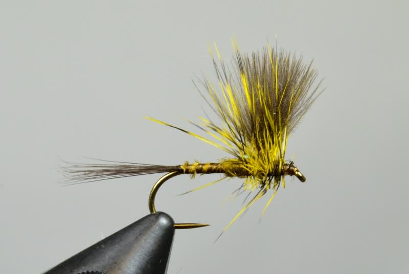 Harrop's CDC Thorax Green Drake - Guided Fly Fishing Madison River