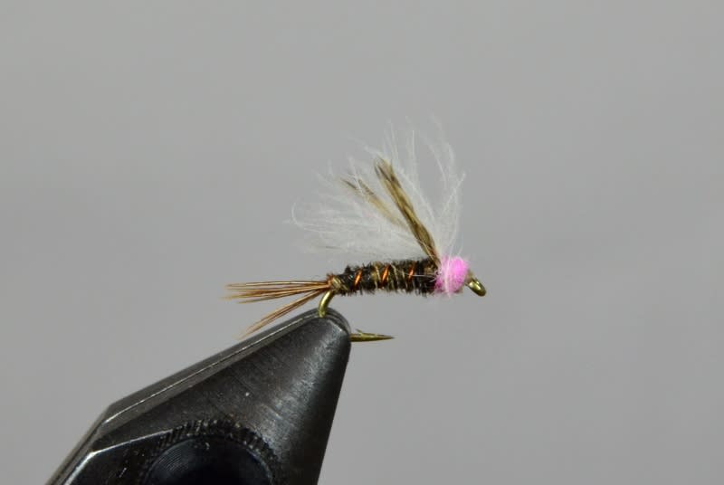 Baetis Emerger Pink - Guided Fly Fishing Madison River, Lodging