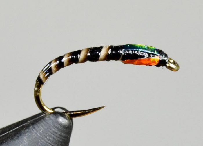 Crank Shank Chironomid