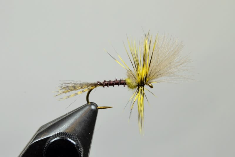 Harrop's Last Chance Cripple Green Drake - Guided Fly Fishing Madison ...