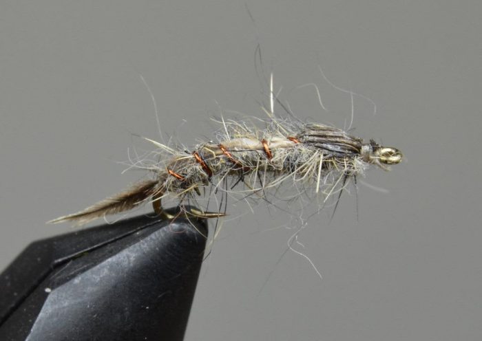 Galloup's Callibaetis Nymph - Image 3