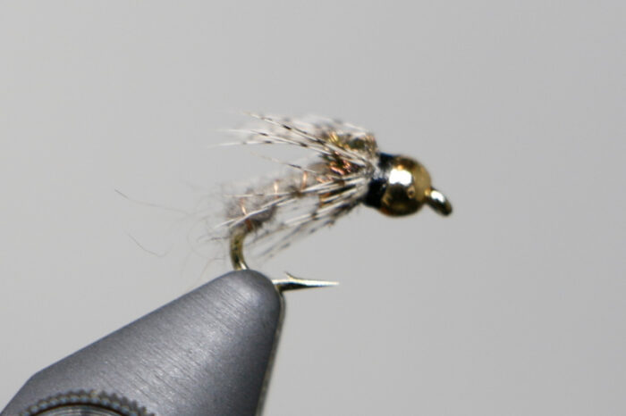 Le Bug - Image 2