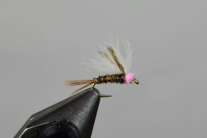 Baetis Emerger Pink