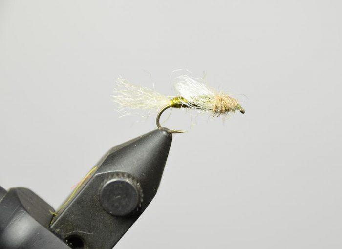 Iris Caddis