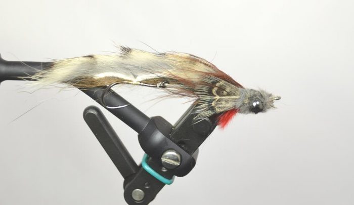 Trevor's Sculpin - Image 2