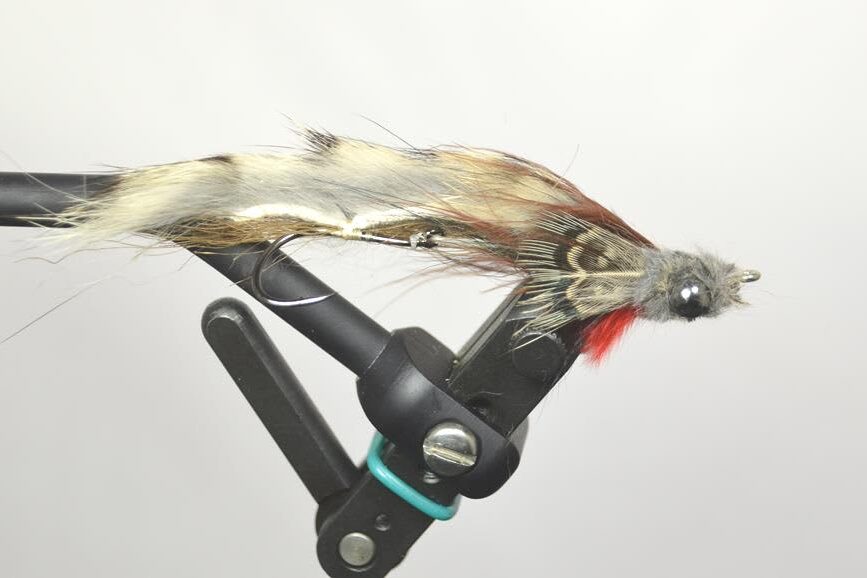 Trevor's Sculpin - Image 2