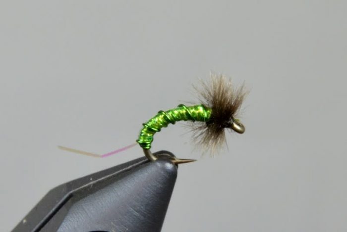 R2Z Ostrich Caddis