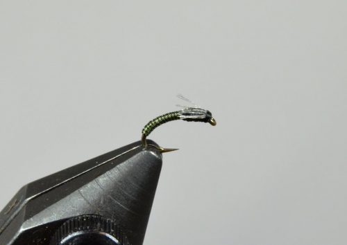 Zebra Midge, Brown/Silver, Tungsten Bead Head  RiverBum Signature Zebra Midge  Fly Fishing Flies