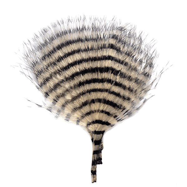 MFC Buggerbou Mini Barred - Image 9