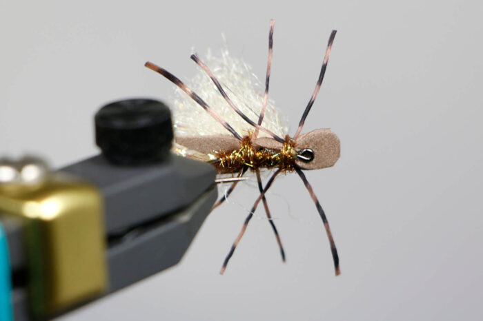 Micro Chubby - Image 4