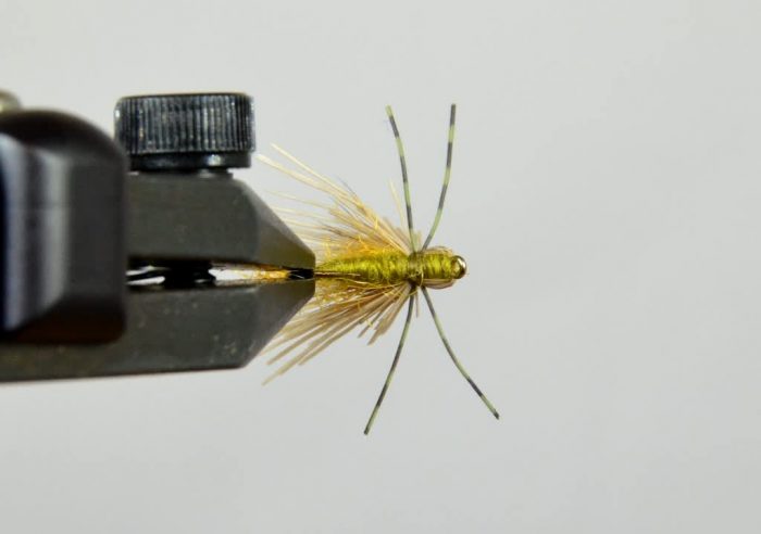 Galloup's Butch Caddis