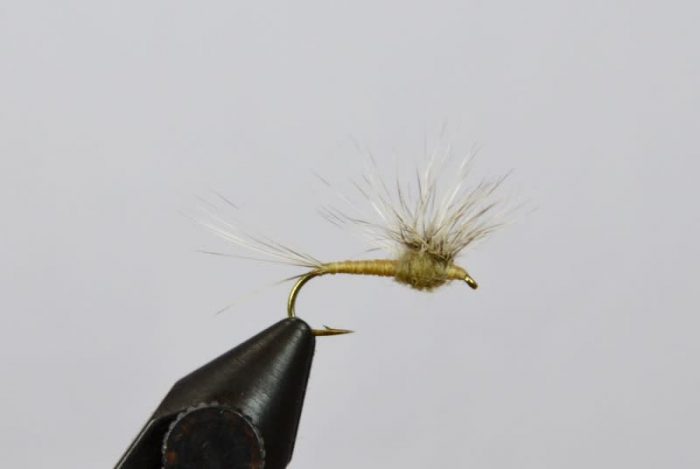 Quigley's Hackle Stacker - Callibaetis