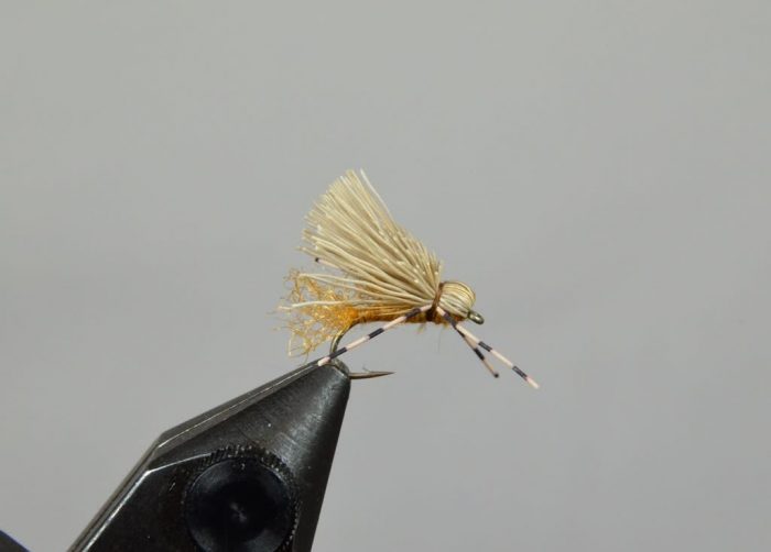 Galloup's Butch Caddis