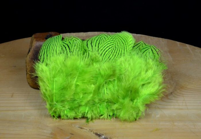 Silver Pheasant Feathers - Image 2