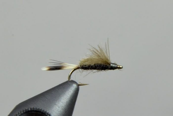 Harrop's CDC Transitional Midge