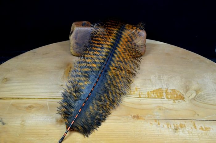 MFC Barred Ostrich Plume - Image 5