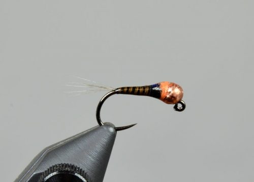 SR Spanish Bullet - Quill