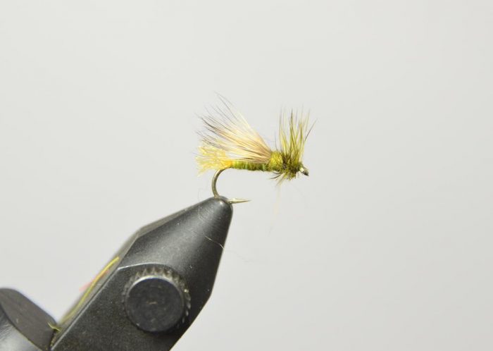 Galloup's Goober Caddis