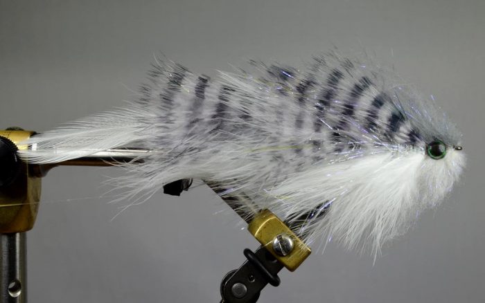 Galloup's Bangtail T&A - Image 3