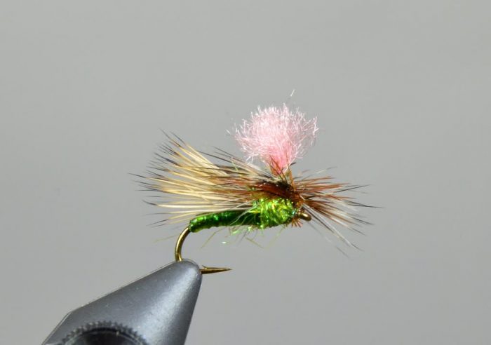 Bloom's Parachute Caddis