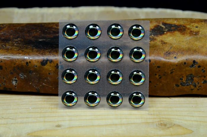 Fish Skull Living Eyes - Image 2