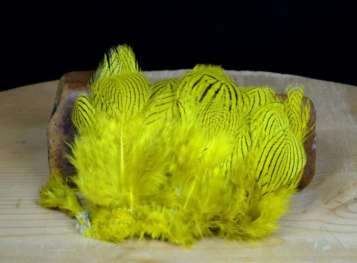 Silver Pheasant Feathers - Image 6