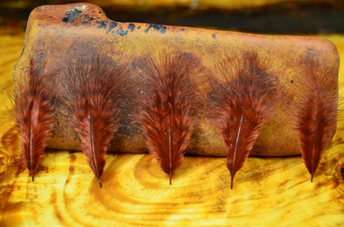 Grizzly Marabou - Image 6