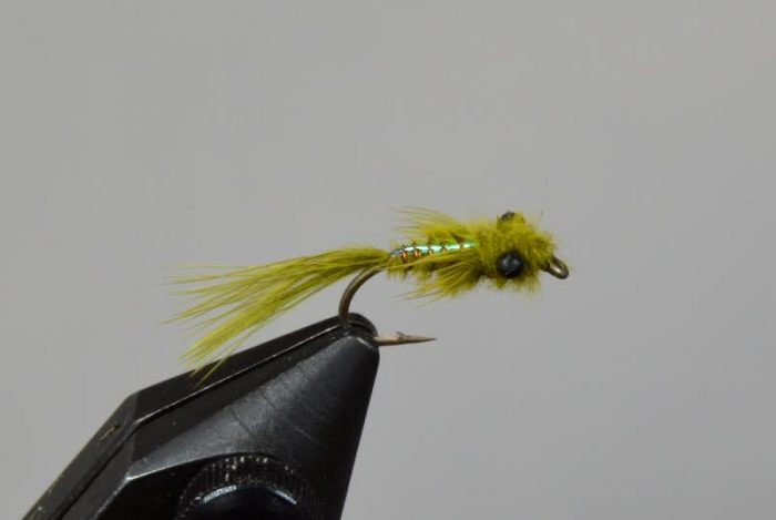 Rowley's Pearly Damsel