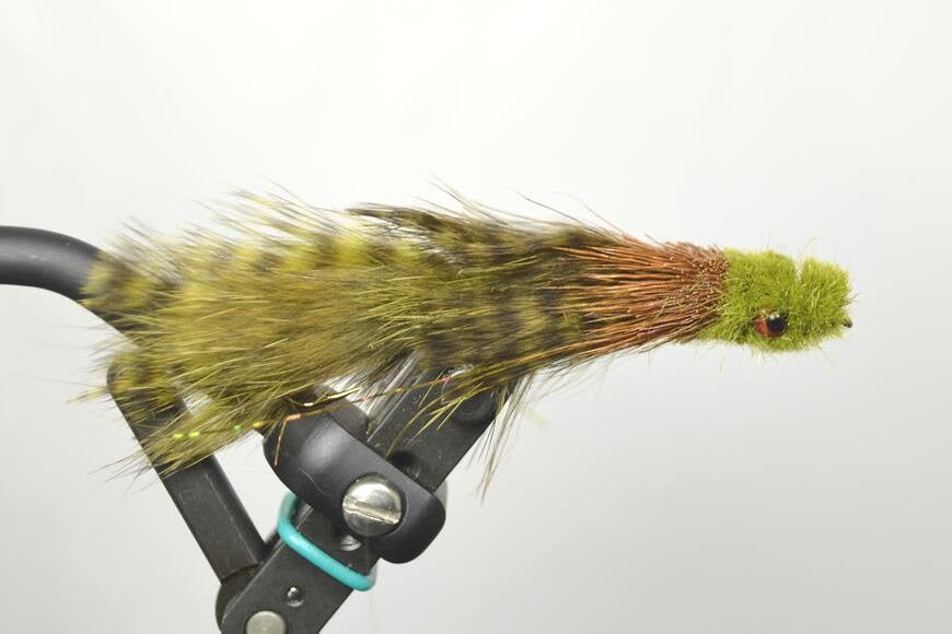 Big Gulp Sculpin - Image 2