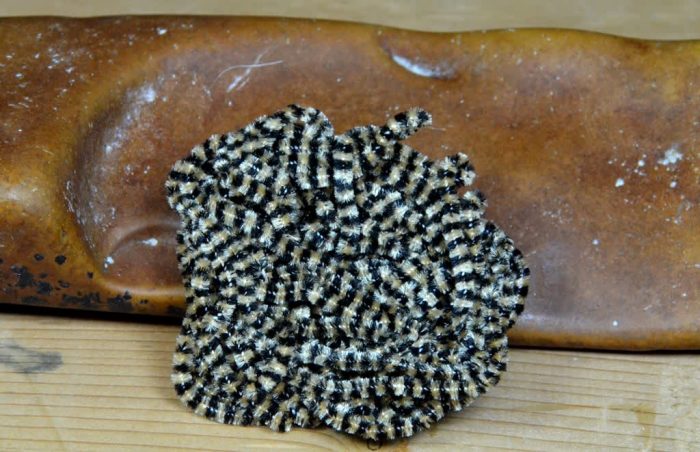 Fly Fish Food Small Stonefly Chenille - Image 2