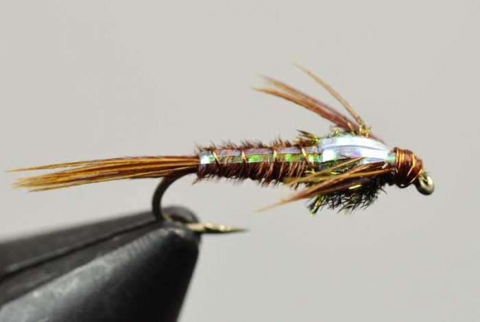 Flashback Pheasant Tail