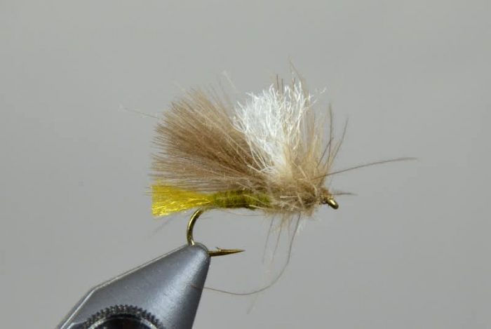 Egan's Corn Fed Caddis