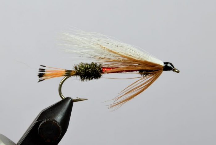 Bucktail Royal Coachman