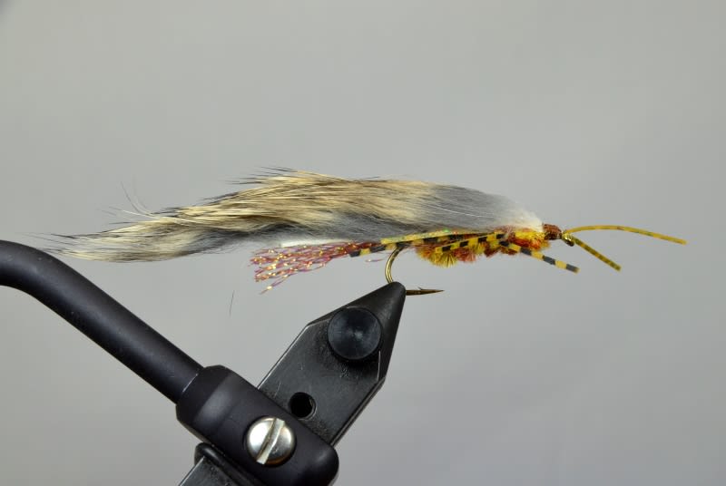 Zirdle Bug Fly Fishing Pattern for Sale