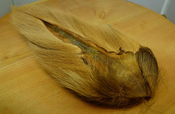 Bucktail - Image 11
