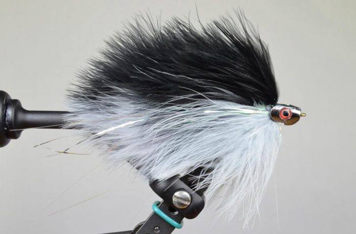 Galloup's Barely Legal Fish Skull - Image 5