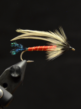 Single Hook Streamers