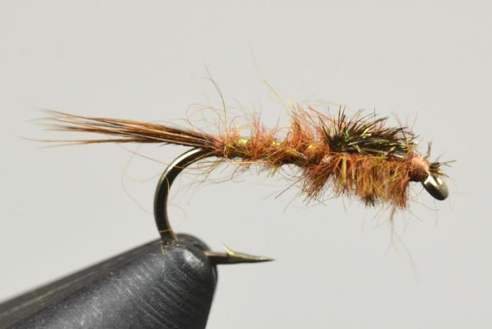Galloup's Hares Ear - Image 2