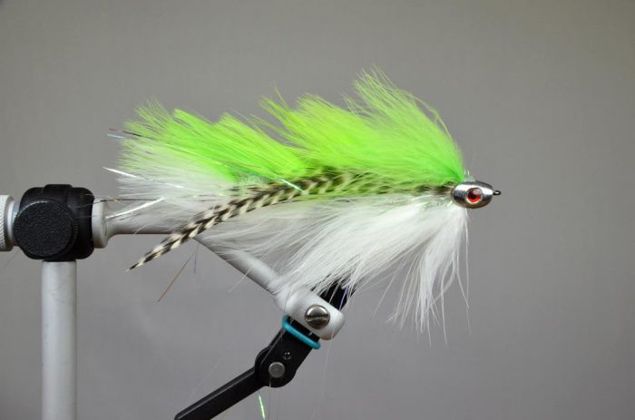 Galloup's Barely Legal Fish Skull - Image 7