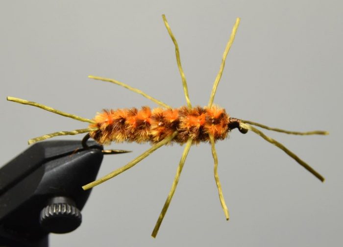 Orange and brown Pat's Rubber Legs fly pattern with gold legs secured in a vise for fly tying.