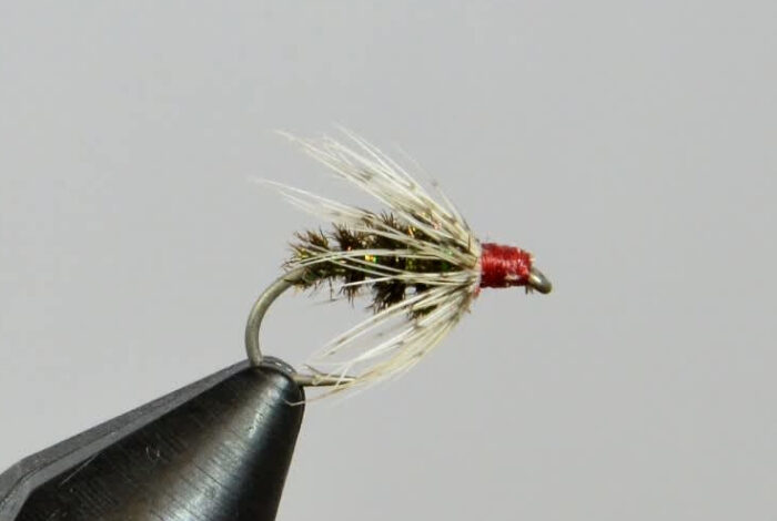 Soft Hackle - Image 2