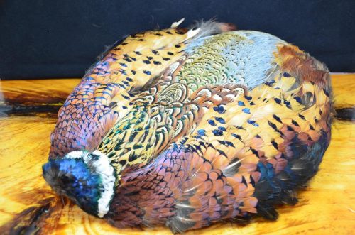 pheasant skin select grade for fly tying